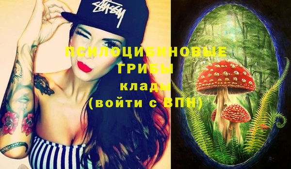 скорость Вязьма