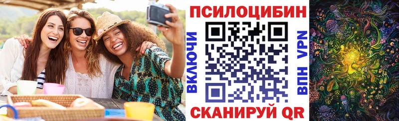 закладки  Заволжье  Галлюциногенные грибы мицелий 